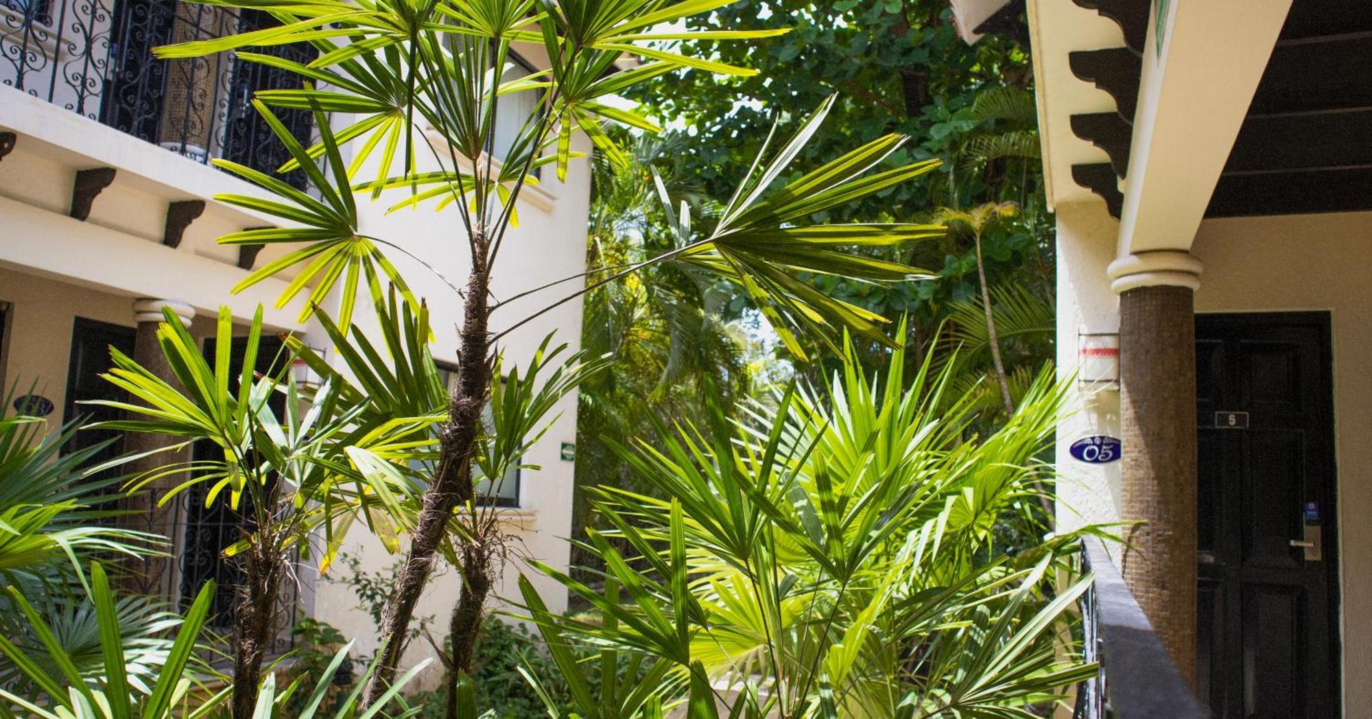 Nina Hotel Playa Del Carmen Zewnętrze zdjęcie